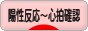 にほんブログ村 マタニティーブログ 陽性反応～心拍確認へ