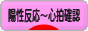 にほんブログ村 マタニティーブログ 陽性反応～心拍確認へ