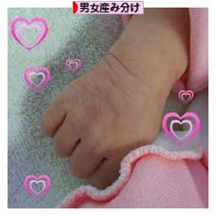にほんブログ村 マタニティーブログ 男女産み分けへ