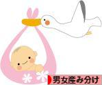 にほんブログ村 マタニティーブログ 男女産み分けへ