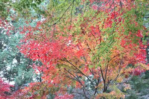 Img_1622