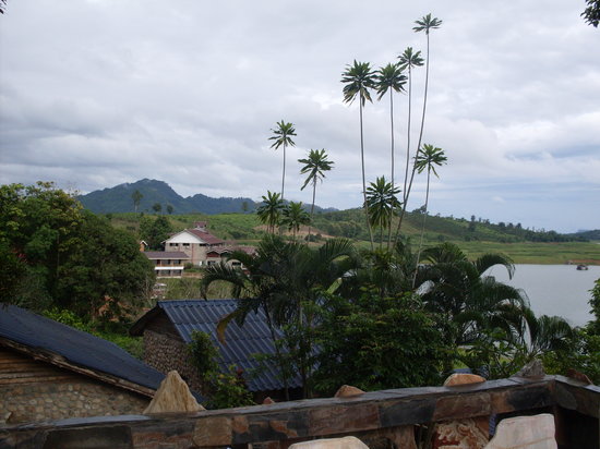 P. Guesthouseの写真