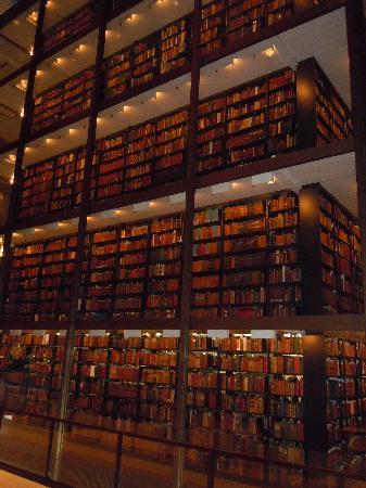 Beinecke Rare Book & Manuscript Libraryの写真