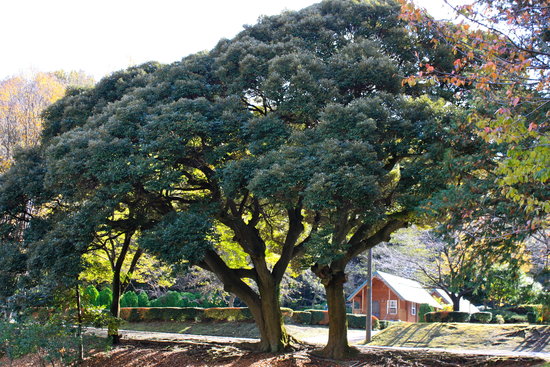 多摩サービス補助施設の写真