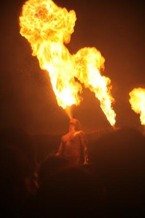 ナイトサファリ