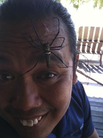 ニコイアイランドの写真