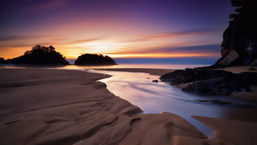 Wts International Jobs | Job Search with.