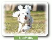 にほんブログ村 メンタルヘルスブログ 癒し・ヒーリングへ