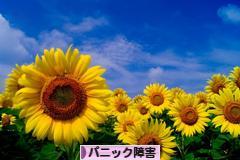 にほんブログ村 メンタルヘルスブログ パニック障害へ