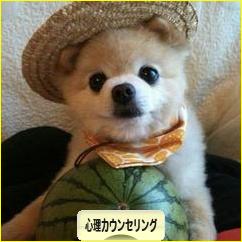 にほんブログ村 メンタルヘルスブログ 心理カウンセリングへ