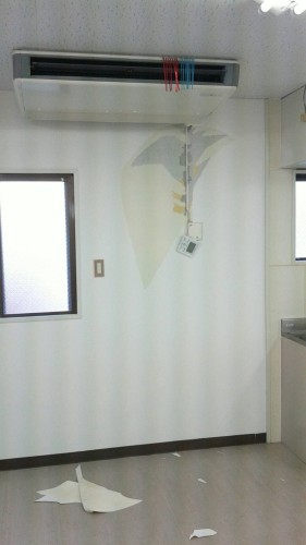 アクセントクロス　１