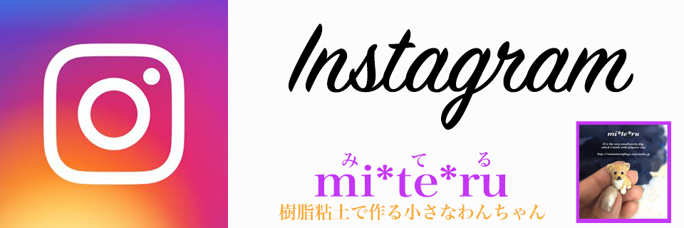 Instagram mi*te*ru*te*ru 指先ワンコ
