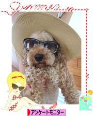 にほんブログ村 小遣いブログ モニター・アンケートモニターへ