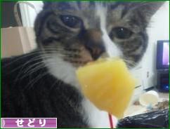 にほんブログ村 小遣いブログ せどりへ