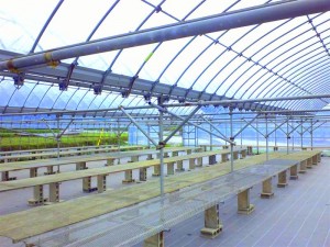 20120614 3 20120614 3