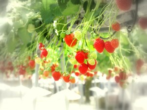 20120614 4 20120614 4