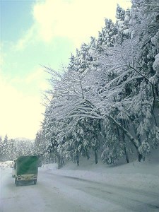 20120615 4 20120615 4