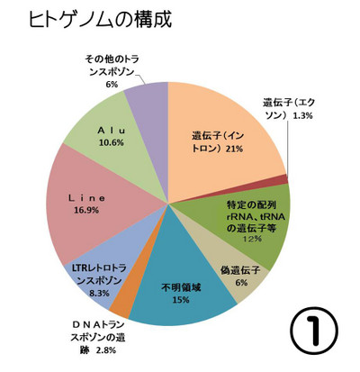 やぶにらみ生物論８９： ヒトゲノム: 渋めのダージリンはいかが