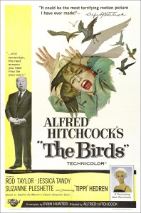 the birds