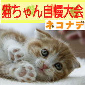 【「ネコナデ」DVD発売記念】猫ちゃん自慢大会開催！