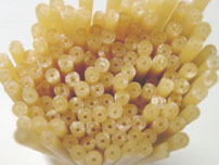 Bucatini
