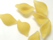 Conchiglie