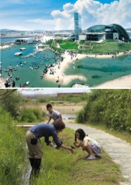 わくわく里山イベント