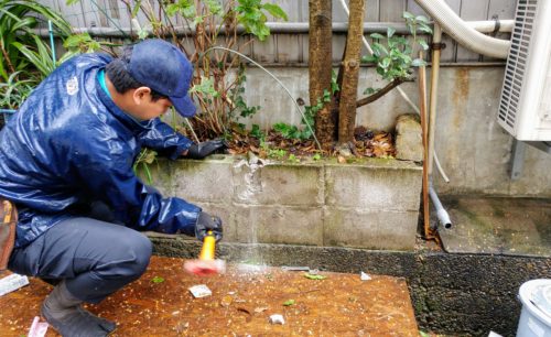 キンモクセイの植栽 移植 Mugenteiのブログ