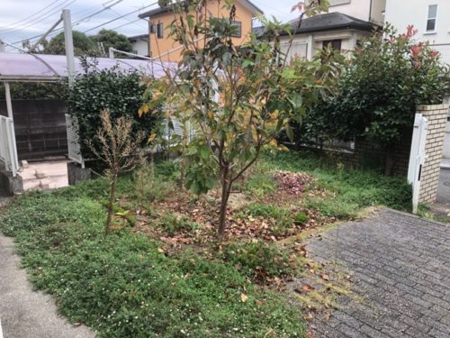 8244dc9b-0e58-4dc0-83da-15c258262dd7