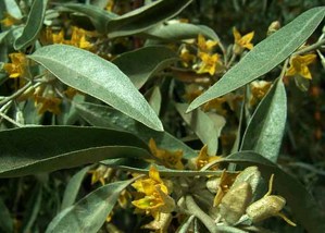 Bc29d928ac8d1a6677b5e277c983cc93e_2