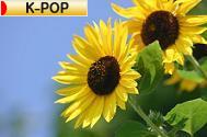 にほんブログ村 音楽ブログ K-POPへ