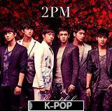 にほんブログ村 音楽ブログ K-POPへ