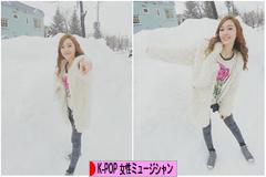 にほんブログ村 音楽ブログ K-POP(女性ミュージシャン・グループ応援)へ