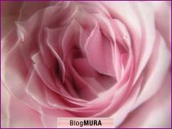 I Can T Give You Anything But Love 訳 Jazz Singer 貞吉 Julie なおこのブログ