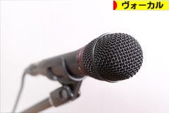 にほんブログ村 音楽ブログ ヴォーカルへ