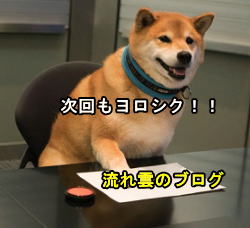 583637111 583637111