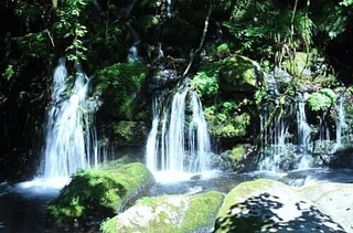 image-1c2b4.jpg