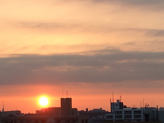 4CC6D9DA-0431-4C84-A377-78DCE8FF396C.jpg
