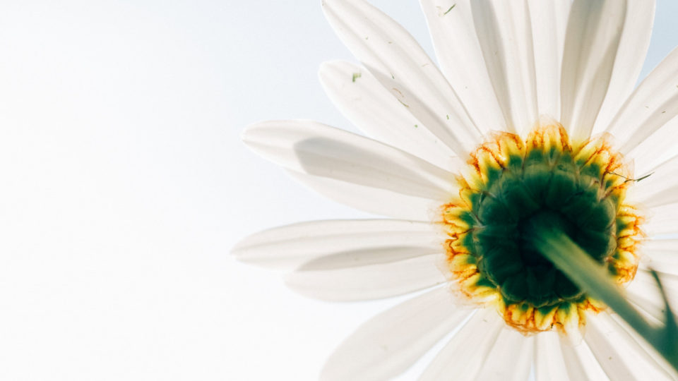 o1280096113727767838