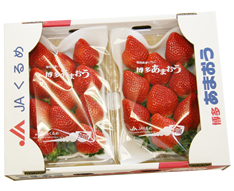 無料モニター 懸賞プレゼント