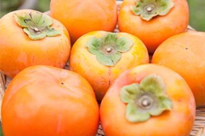 無料モニター 懸賞プレゼント