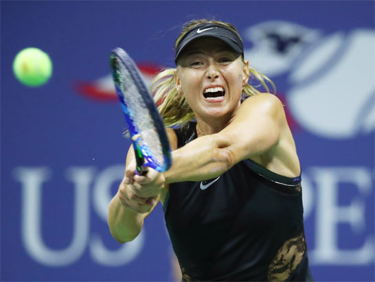 ãããã¹ãã·ã£ã©ãã¯ãã®ç»åæ¤ç´¢çµæ