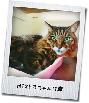 Kako2dnhxqt8c8ftm1en