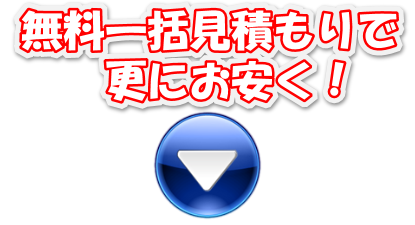 logo6.png