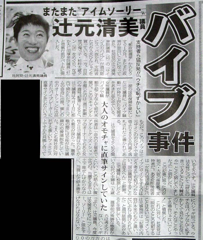 辻元清美の正体 2 産経新聞よ ピースボート辻元議員に怯まず控訴を 産経新聞を応援する会