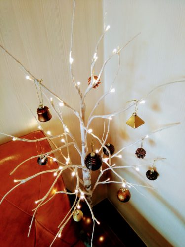 img_20181205_1333172