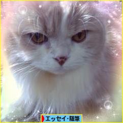 にほんブログ村 小説ブログ エッセイ・随筆へ
