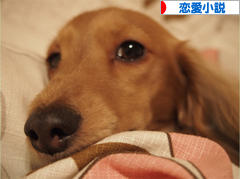 にほんブログ村 小説ブログ 恋愛小説(純愛)へ