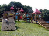 総合公園