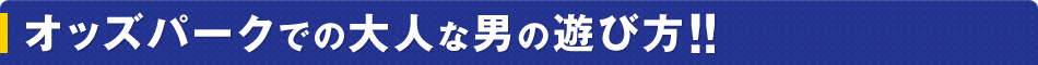オッズパークでの大人な男の遊び方！！
